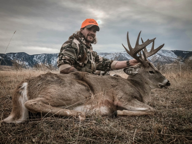 Whitetail