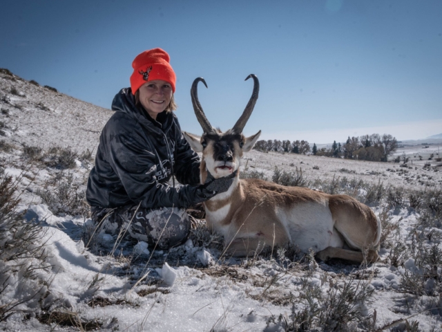 Pronghorn