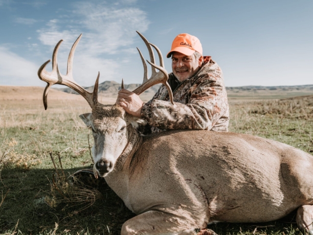Whitetail