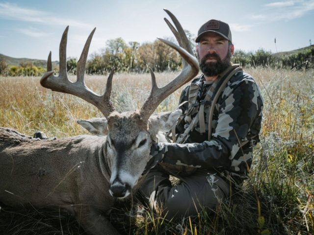 Whitetail