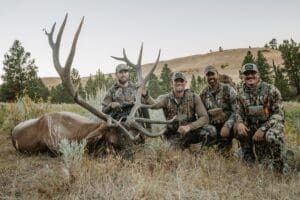 How Many Preference Points for Wyoming Elk 