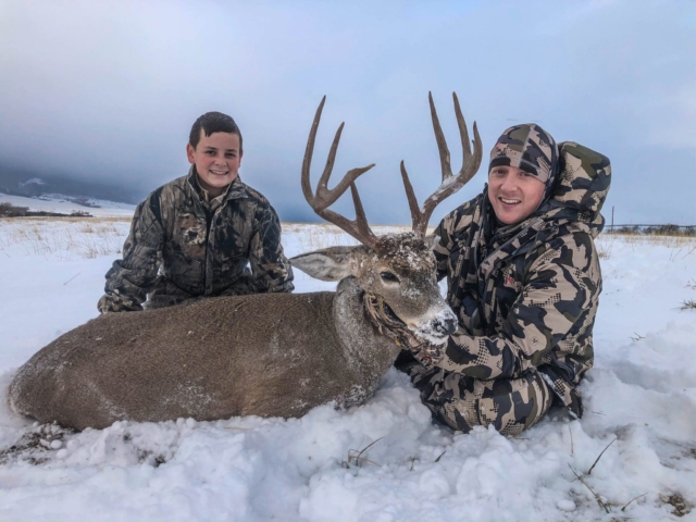 Whitetail