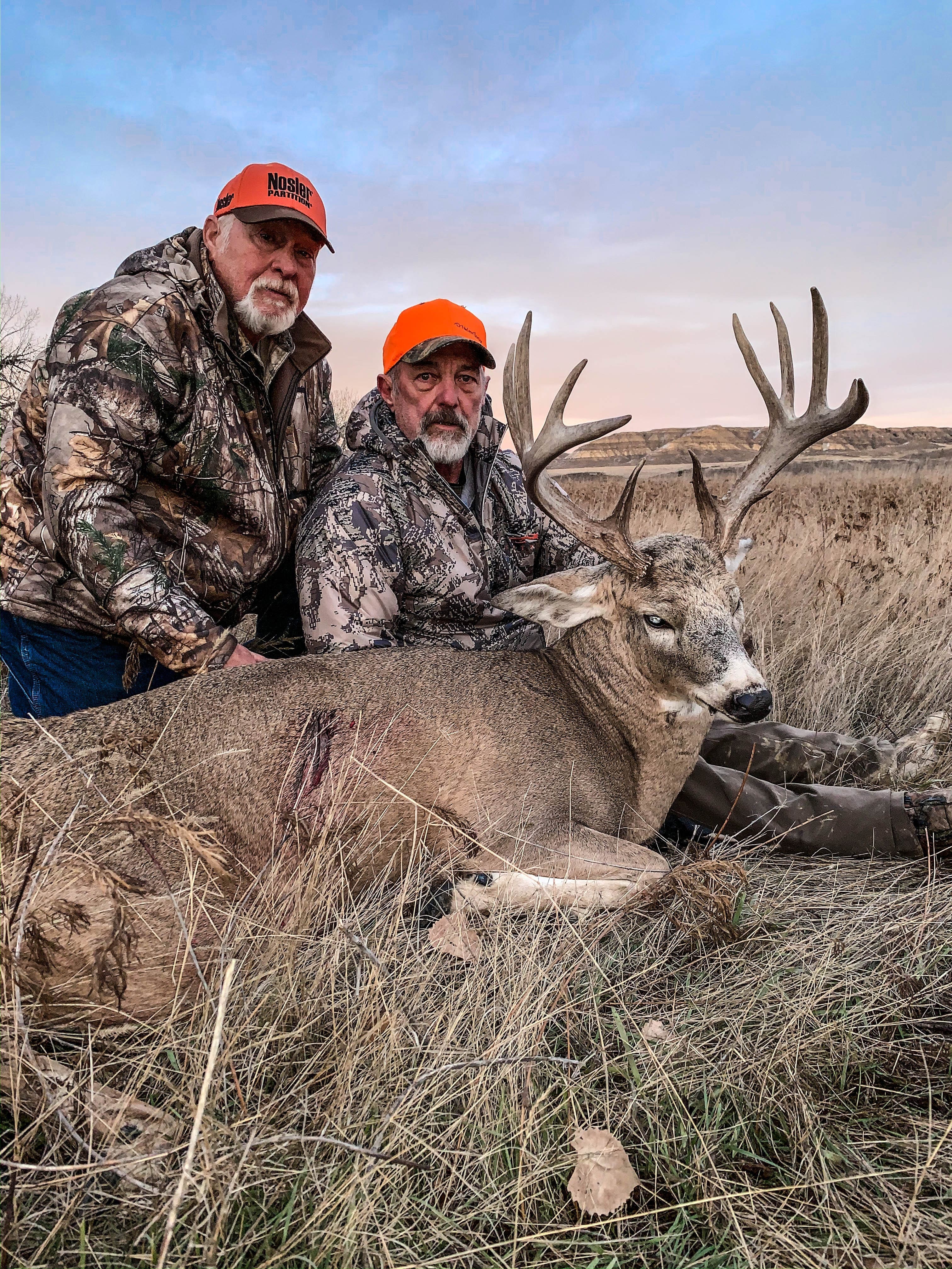 Whitetail