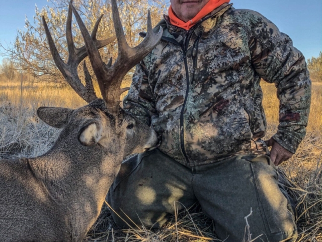 Whitetail