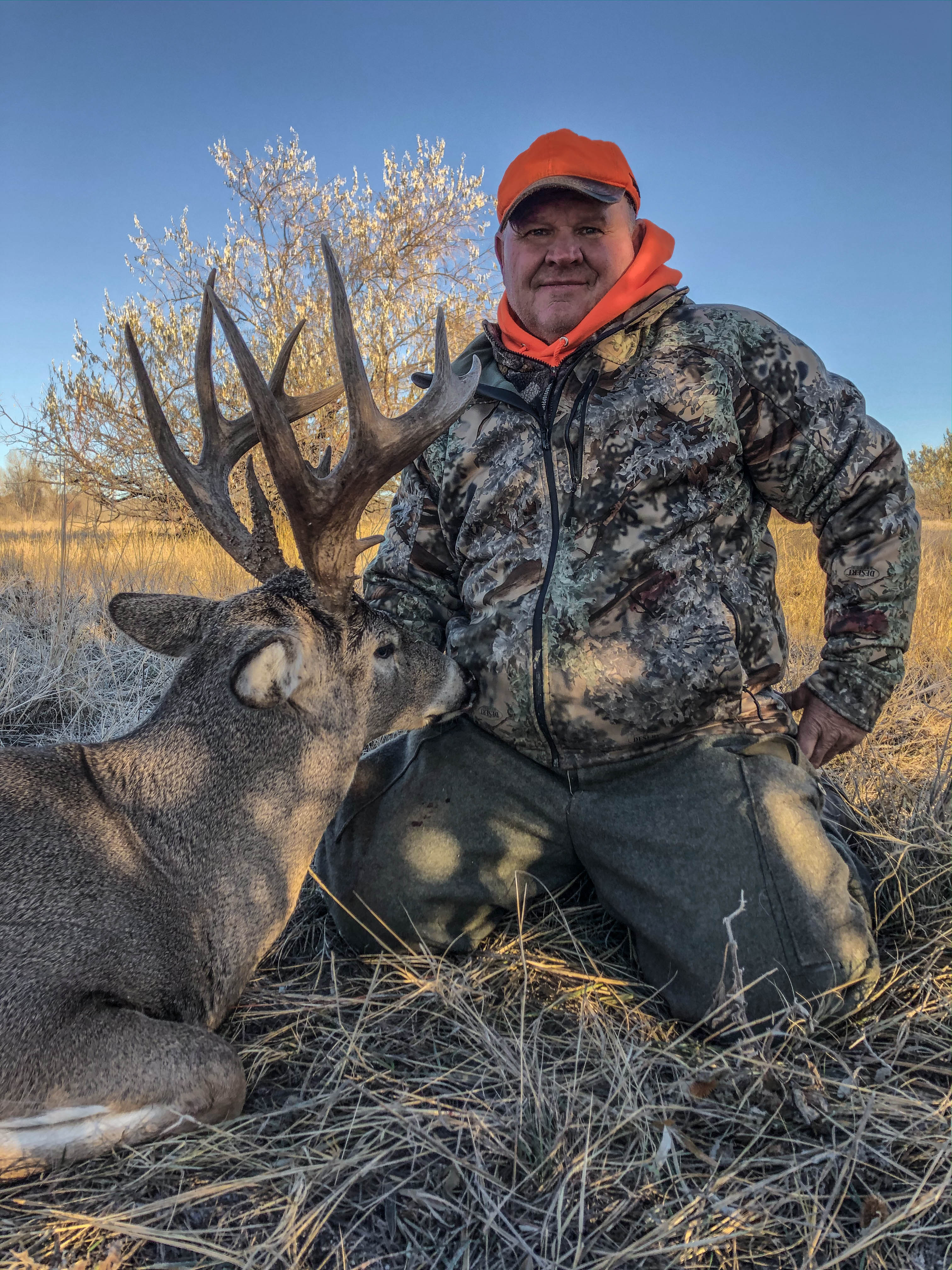 Whitetail