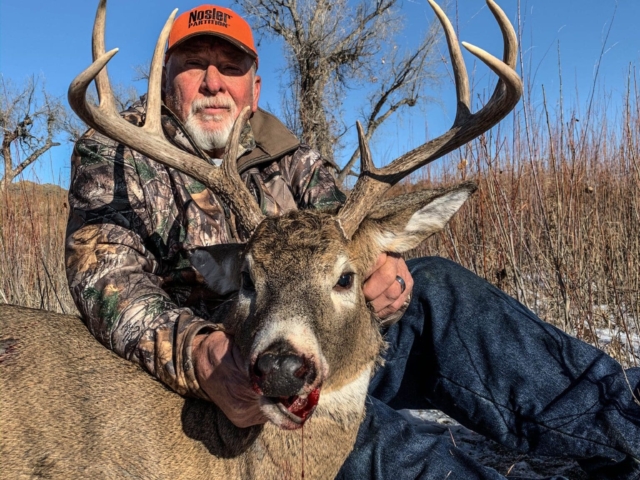 Whitetail