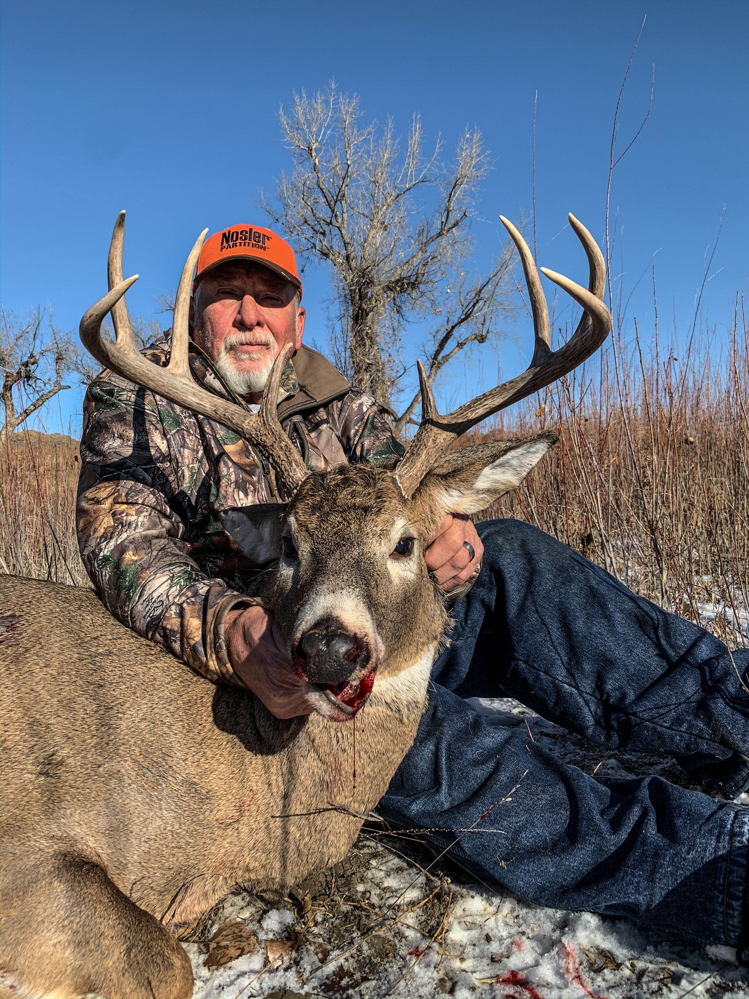 Whitetail