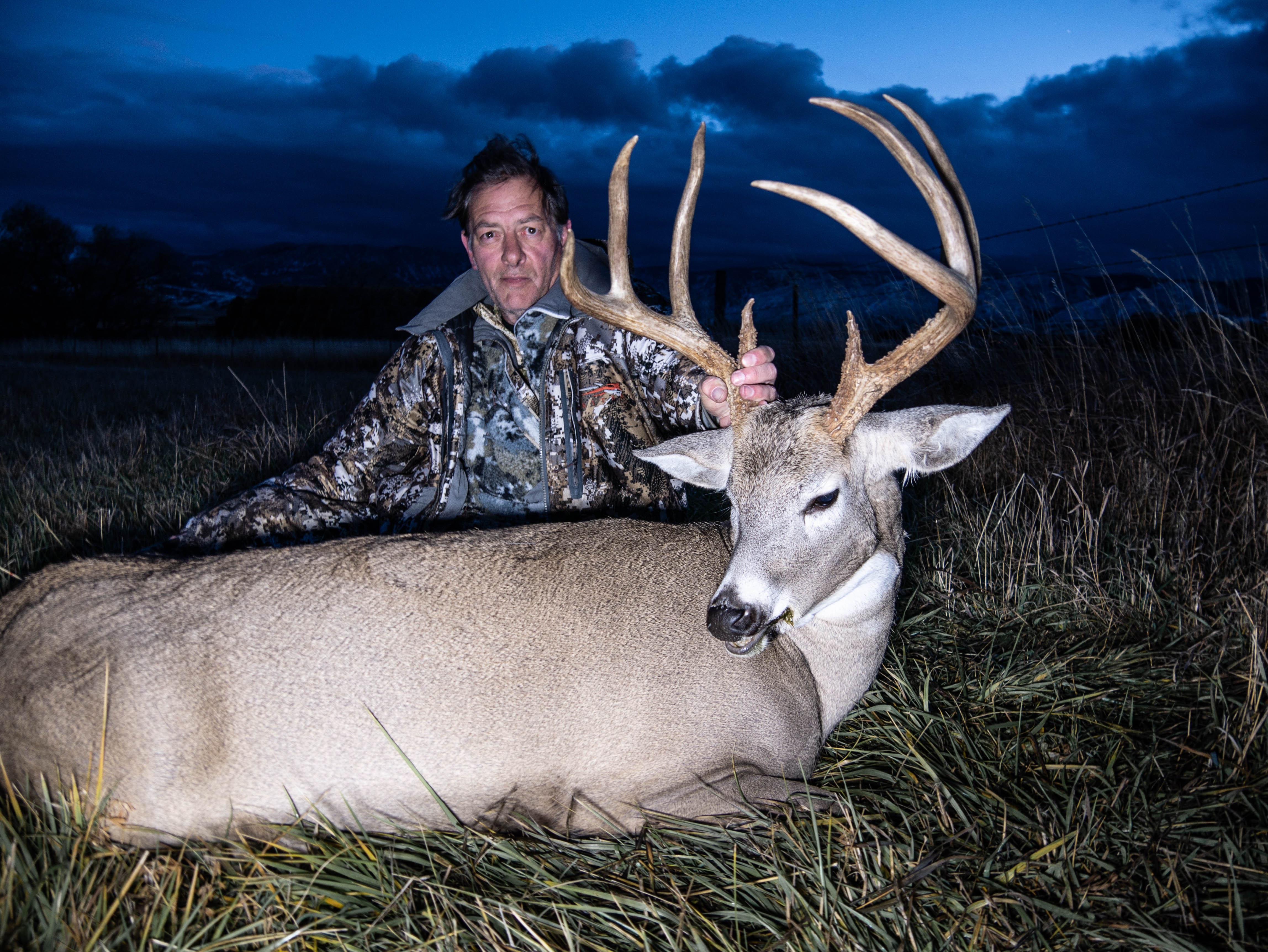 Whitetail
