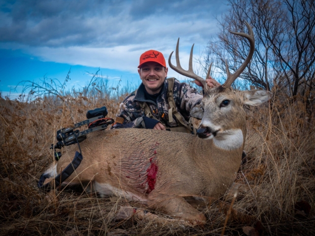 Whitetail