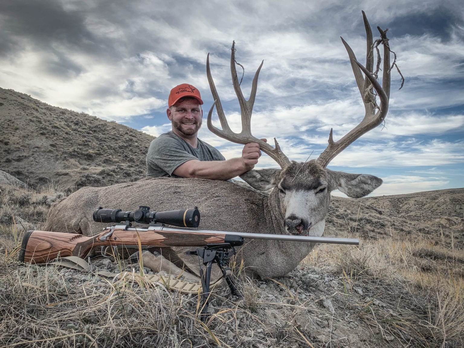 Wyoming Mule Deer Hunting at Big Horn Outfitters Trophy Bucks